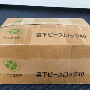 梁下ピースロック 40